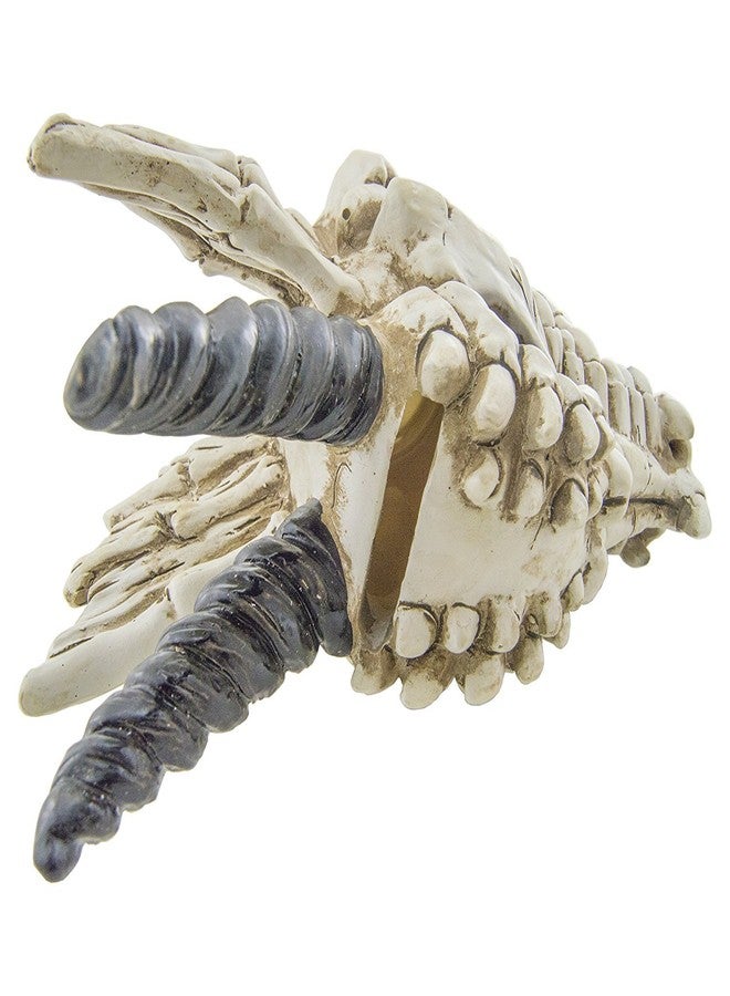 EX ELECTRONIX EXPRESS Snarling Magical Dragon Skull Treasure Trinket Box - Image 4